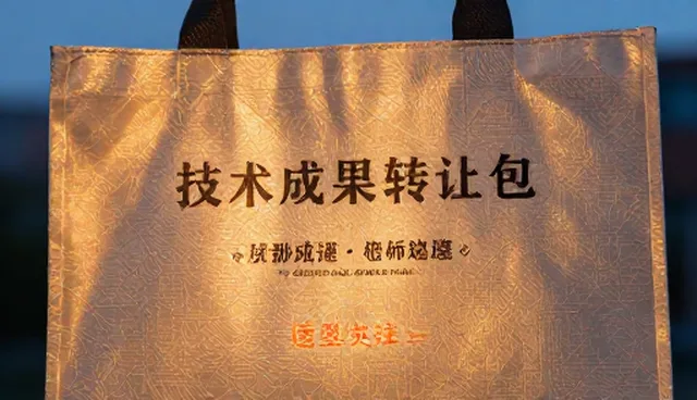软件研发项目中运维检查的5大要点与应对策略